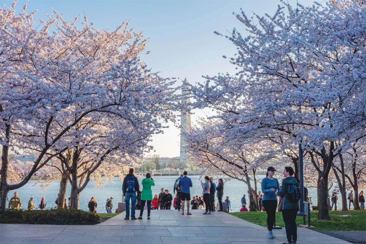 FDR Memorial Park Acres Designated
